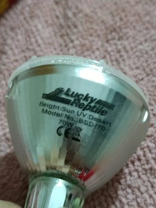 Lampada Lucky Reptile UV Jungle 70W