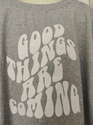 Camiseta corta gris texto parte trasera Talla M/38