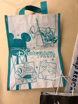 Disney Tokio Paris pack bolsas
