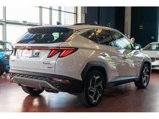 Hyundai Tucson 1.6 TGDI HEV Style 4x4 Auto 169 kW (230 CV)