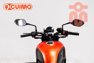 TRIUMPH TRIDENT 660