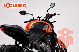 TRIUMPH TRIDENT 660