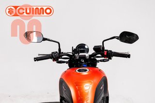 TRIUMPH TRIDENT 660