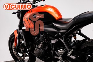 TRIUMPH TRIDENT 660