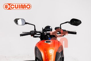 TRIUMPH TRIDENT 660