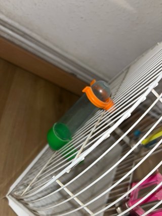 Jaula para pájaros pequeños