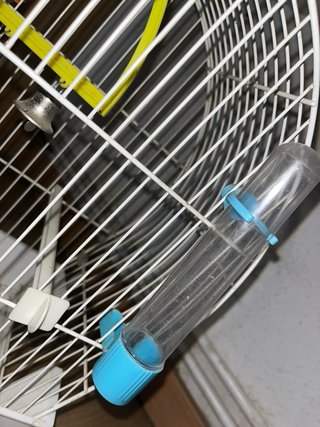 Jaula para pájaros pequeños