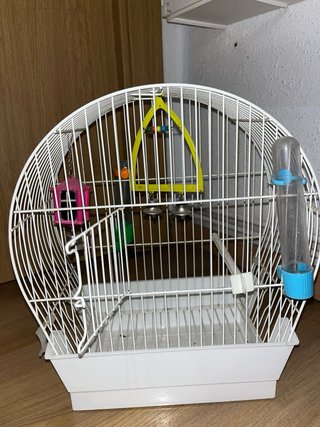 Jaula para pájaros pequeños