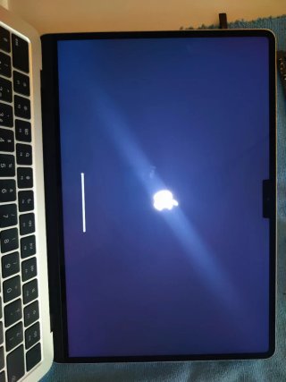Pantalla MacBook A3240 starlight