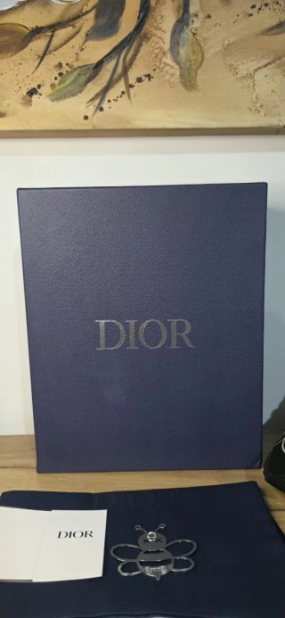 Dior B30 Sneakers Nere 43