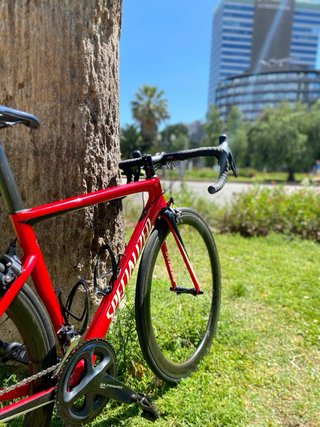 Bicicleta Specialized Talla 52