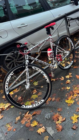 Bicicleta personalizada con diseño único