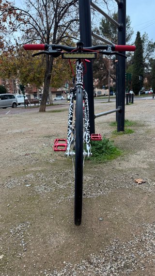 Bicicleta personalizada con diseño único