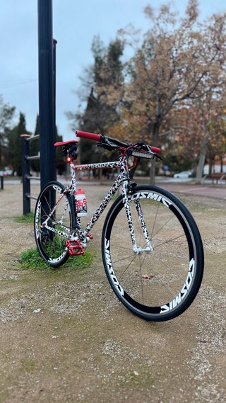 Bicicleta personalizada con diseño único