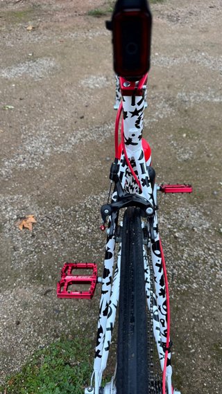 Bicicleta personalizada con diseño único