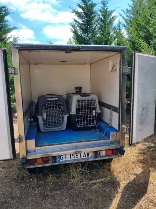Citroen C 15 1994