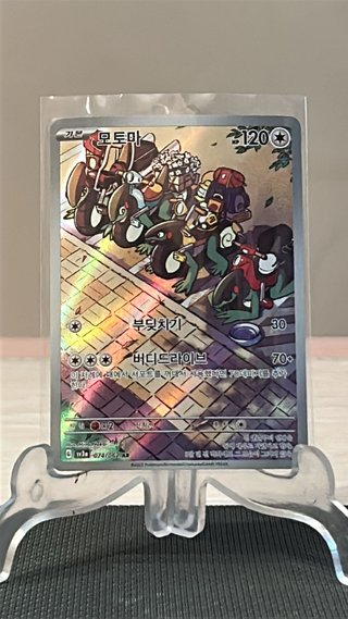 Cyclizar 074 Raging Surf Coreano