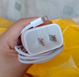 Cargador Apple Original 20W iPhone
