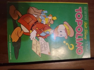 Topolino