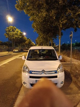 Citroen Berlingo 2009