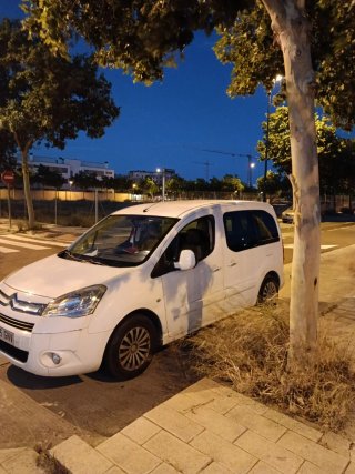 Citroen Berlingo 2009