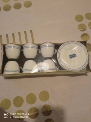 6 Tazas y Platos de Café Harmonia
