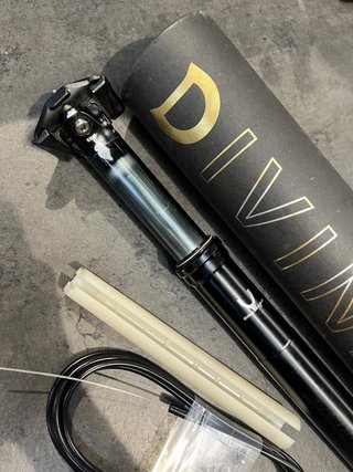 Tija Divine SL 30.9x80