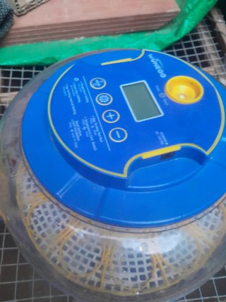 Incuvadora de huevos automática