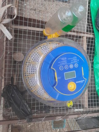 Incuvadora de huevos automática