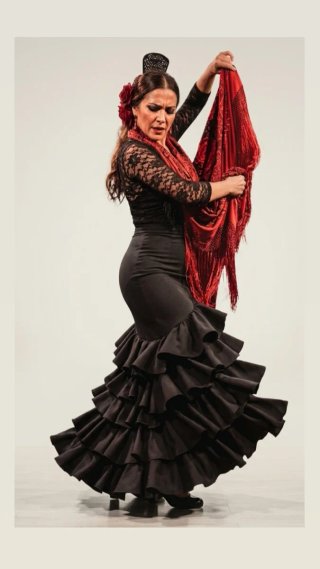 Falda Flamenca Volantes Negra y Roja