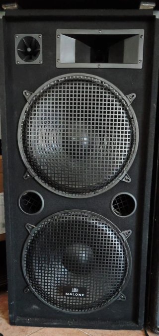 Altavoces 15 pulgadas