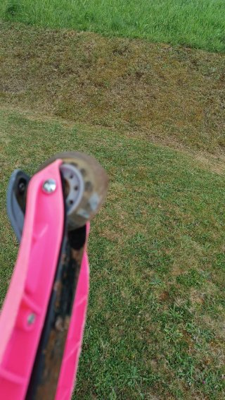 Patinete 3 ruedas Globber rosa