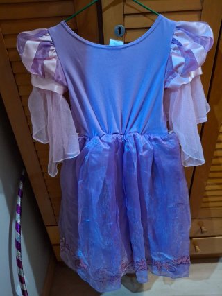 Disfraz Princesa disney