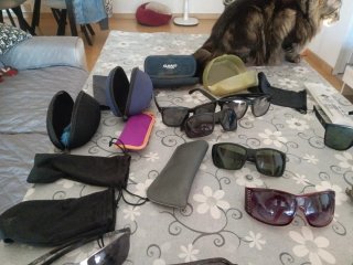 Lote de gafas de sol