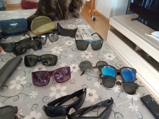 Lote de gafas de sol