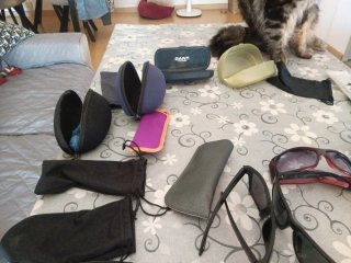 Lote de gafas de sol
