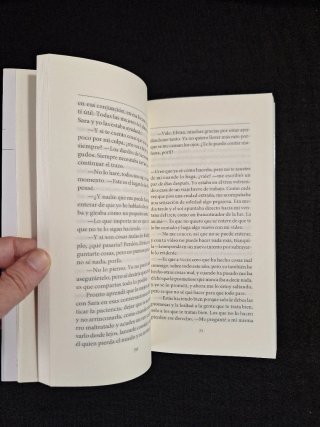 Elvira Sastre. Las vulnerabilidades