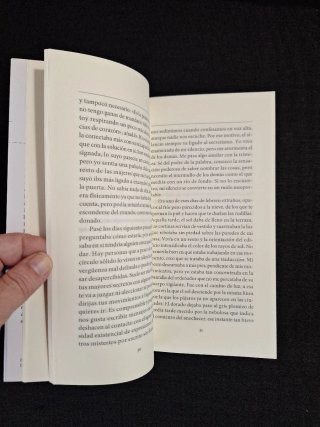 Elvira Sastre. Las vulnerabilidades