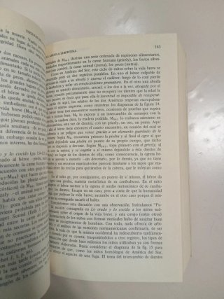 El hombre desnudo.