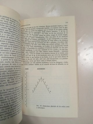 El hombre desnudo.