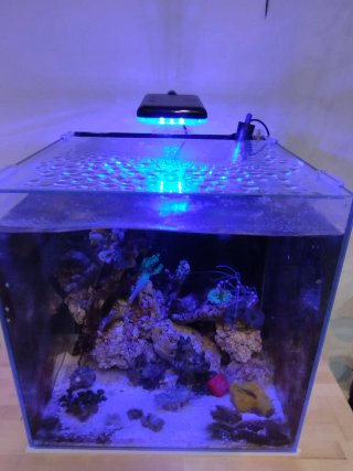 Acuario Marino Completo sin animales