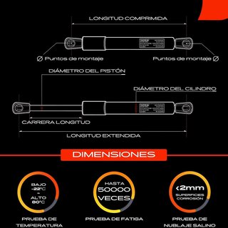 Frankberg 2x Amortiguadores de gas portón trasero Compatible con Clio II BB CB Todos los Motores