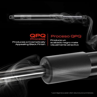 Frankberg 2x Amortiguadores de gas portón trasero Compatible con Clio II BB CB Todos los Motores
