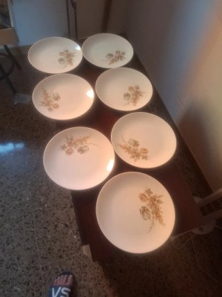 7 Platos Bidasoa 8340 diseño floral.