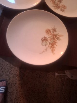 7 Platos Bidasoa 8340 diseño floral.