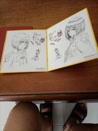L'attaco dei giganti shikishi cinema parte 1-2