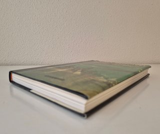 La ley del amor (Ave fénix) (Spanish Edition)