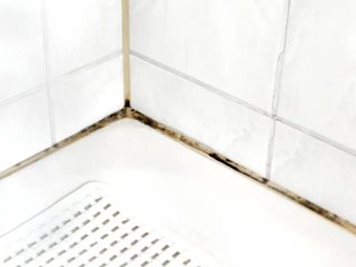 Puesta a Punto de Pisos