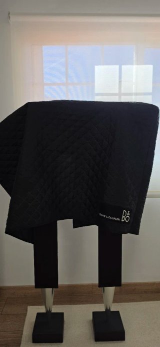 BeoLab 8000 Bang & Olufsen · Excelente estado
