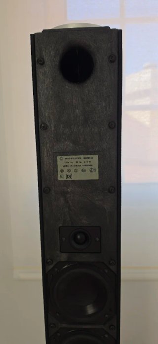 BeoLab 8000 Bang & Olufsen · Excelente estado